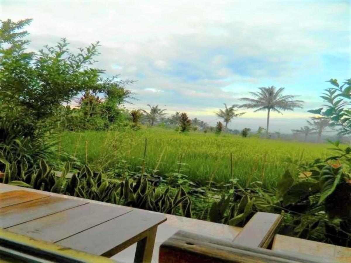 Fida Ijen Crater Guesthouse Licin Екстер'єр фото